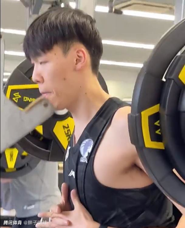 人和动物的黄色片